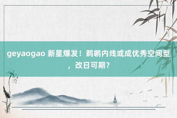 geyaogao 新星爆发！鹈鹕内线或成优秀空间型，改日可期？