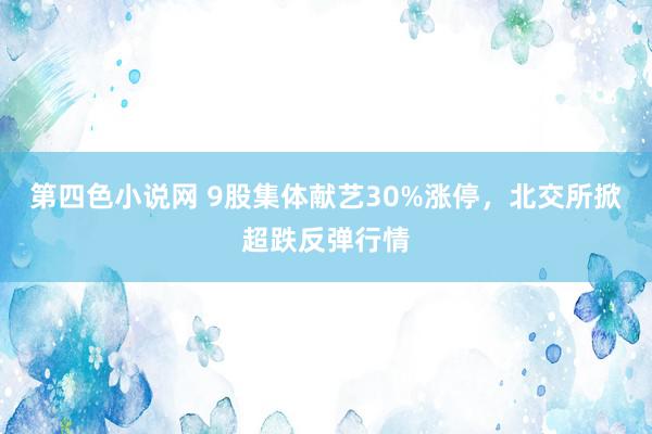 第四色小说网 9股集体献艺30%涨停，北交所掀超跌反弹行情