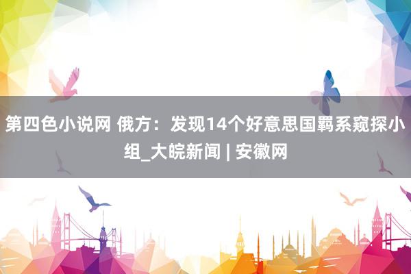 第四色小说网 俄方：发现14个好意思国羁系窥探小组_大皖新闻 | 安徽网