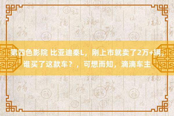 第四色影院 比亚迪秦L，刚上市就卖了2万+辆，谁买了这款车？，可想而知，滴滴车主