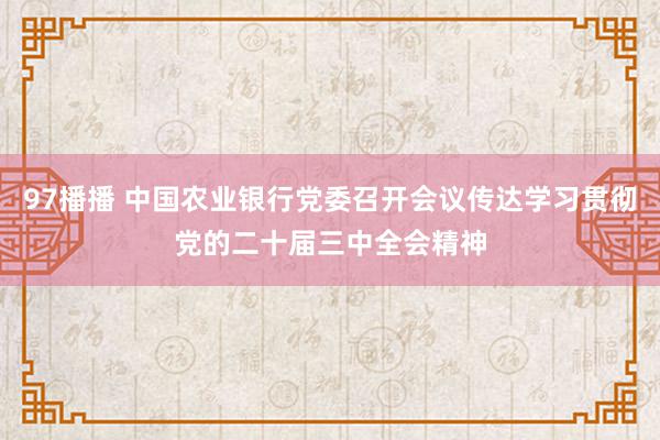 97播播 中国农业银行党委召开会议传达学习贯彻党的二十届三中全会精神