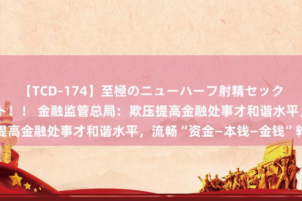 【TCD-174】至極のニューハーフ射精セックス16時間 特別版ベスト！！ 金融监管总局：欺压提高金融处事才和谐水平，流畅“资金—本钱—金钱”轮回