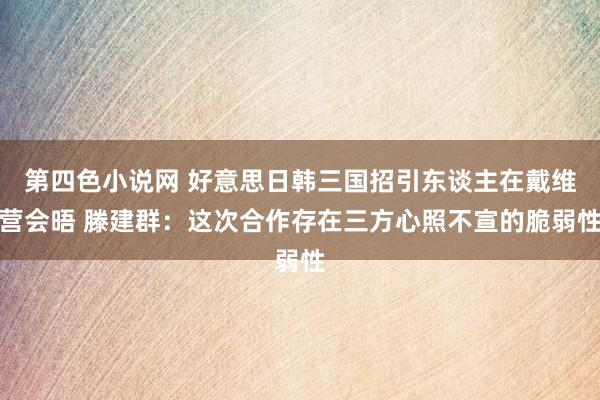 第四色小说网 好意思日韩三国招引东谈主在戴维营会晤 滕建群：这次合作存在三方心照不宣的脆弱性