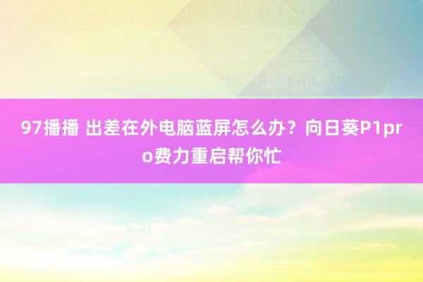 97播播 出差在外电脑蓝屏怎么办？向日葵P1pro费力重启帮你忙