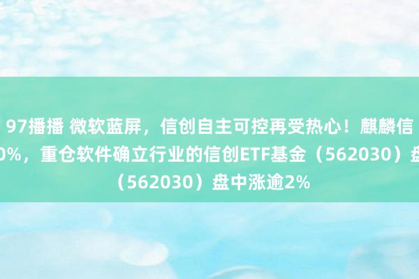 97播播 微软蓝屏，信创自主可控再受热心！麒麟信安飙涨超10%，重仓软件确立行业的信创ETF基金（562030）盘中涨逾2%