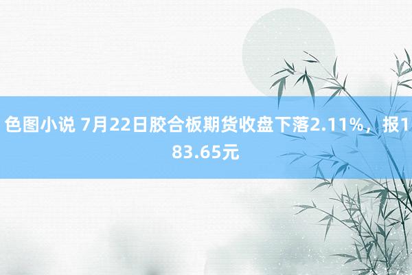 色图小说 7月22日胶合板期货收盘下落2.11%，报183.65元