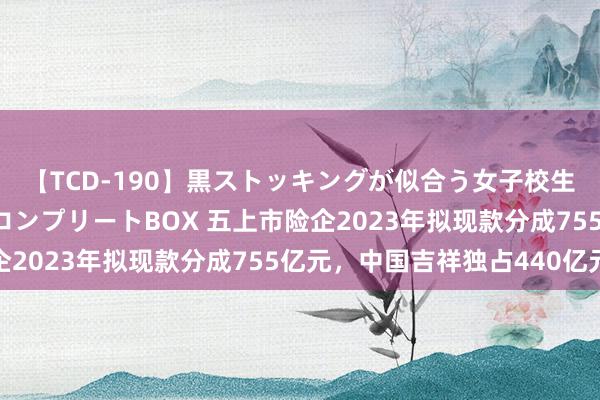 【TCD-190】黒ストッキングが似合う女子校生は美脚ニューハーフ コンプリートBOX 五上市险企2023年拟现款分成755亿元，中国吉祥独占440亿元