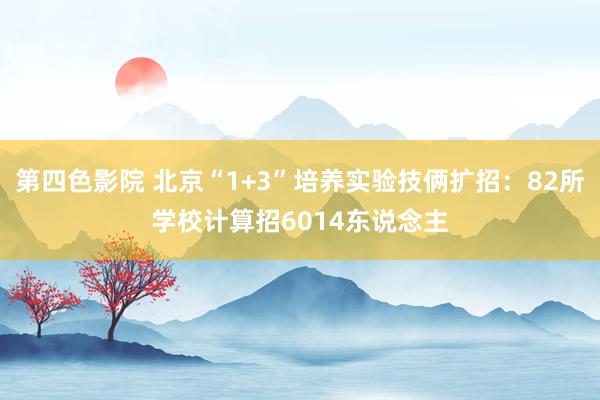 第四色影院 北京“1+3”培养实验技俩扩招：82所学校计算招6014东说念主