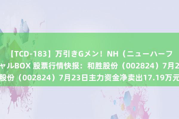 【TCD-183】万引きGメン！NH（ニューハーフ）ペニクリ狩りスペシャルBOX 股票行情快报：和胜股份（002824）7月23日主力资金净卖出17.19万元