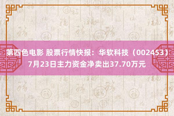 第四色电影 股票行情快报：华软科技（002453）7月23日主力资金净卖出37.70万元