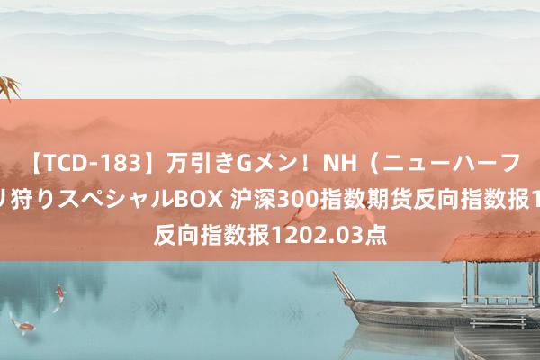 【TCD-183】万引きGメン！NH（ニューハーフ）ペニクリ狩りスペシャルBOX 沪深300指数期货反向指数报1202.03点