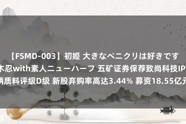 【FSMD-003】初姫 大きなペニクリは好きですか！？ ニューハーフ笠木忍with素人ニューハーフ 五矿证券保荐致尚科技IPO技俩质料评级D级 新股弃购率高达3.44% 募资18.55亿元上市首年扣非净利润大降45%