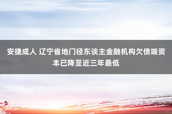 安捷成人 辽宁省地门径东谈主金融机构欠债端资本已降至近三年最低