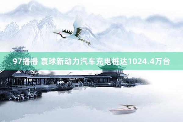 97播播 寰球新动力汽车充电桩达1024.4万台