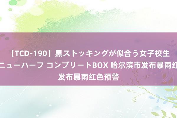 【TCD-190】黒ストッキングが似合う女子校生は美脚ニューハーフ コンプリートBOX 哈尔滨市发布暴雨红色预警