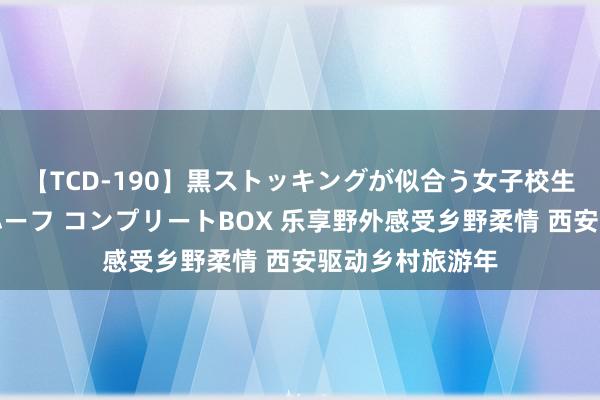 【TCD-190】黒ストッキングが似合う女子校生は美脚ニューハーフ コンプリートBOX 乐享野外感受乡野柔情 西安驱动乡村旅游年