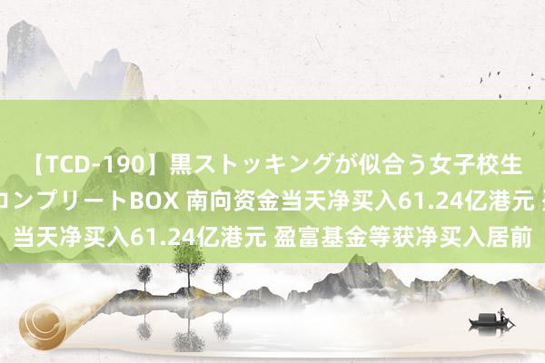 【TCD-190】黒ストッキングが似合う女子校生は美脚ニューハーフ コンプリートBOX 南向资金当天净买入61.24亿港元 盈富基金等获净买入居前