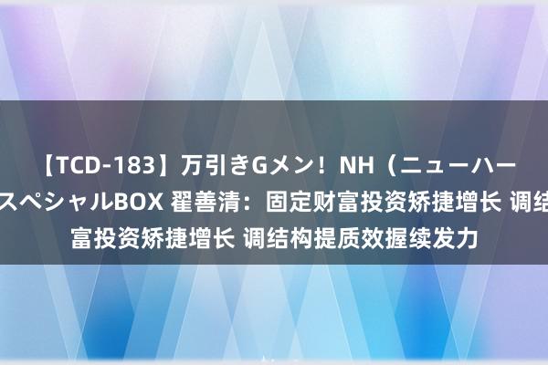 【TCD-183】万引きGメン！NH（ニューハーフ）ペニクリ狩りスペシャルBOX 翟善清：固定财富投资矫捷增长 调结构提质效握续发力