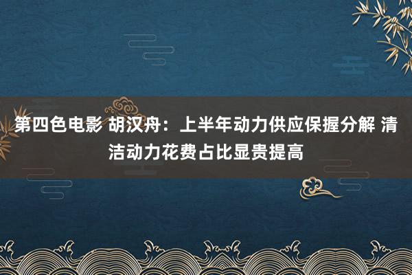 第四色电影 胡汉舟：上半年动力供应保握分解 清洁动力花费占比显贵提高