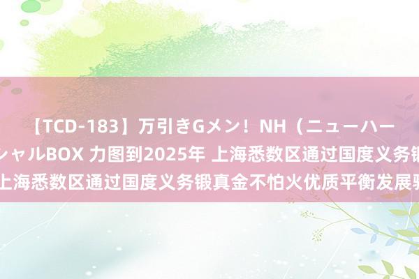 【TCD-183】万引きGメン！NH（ニューハーフ）ペニクリ狩りスペシャルBOX 力图到2025年 上海悉数区通过国度义务锻真金不怕火优质平衡发展验收