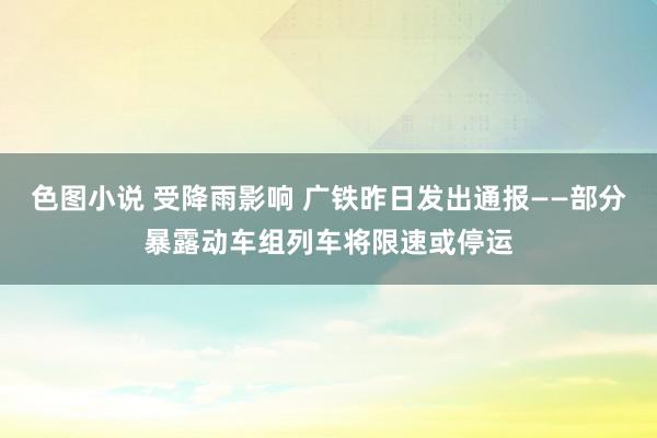 色图小说 受降雨影响 广铁昨日发出通报——部分暴露动车组列车将限速或停运