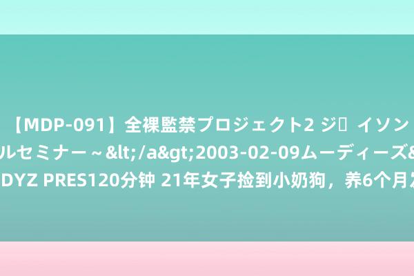 【MDP-091】全裸監禁プロジェクト2 ジｪイソン学園～アブノーマルセミナー～</a>2003-02-09ムーディーズ&$MOODYZ PRES120分钟 21年女子捡到小奶狗，养6个月发现不是狗，“众人”：这“狗”不可养