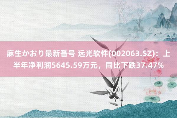 麻生かおり最新番号 远光软件(002063.SZ)：上半年净利润5645.59万元，同比下跌37.47%