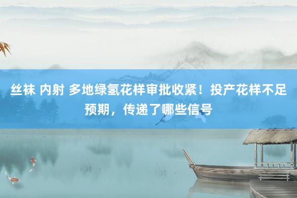 丝袜 内射 多地绿氢花样审批收紧！投产花样不足预期，传递了哪些信号